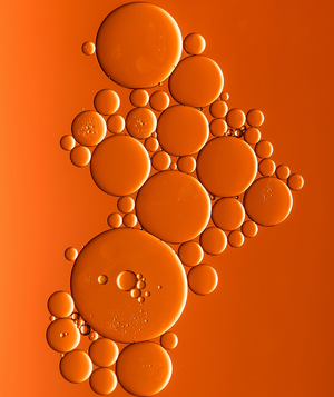 Pack básico de SkinGrid